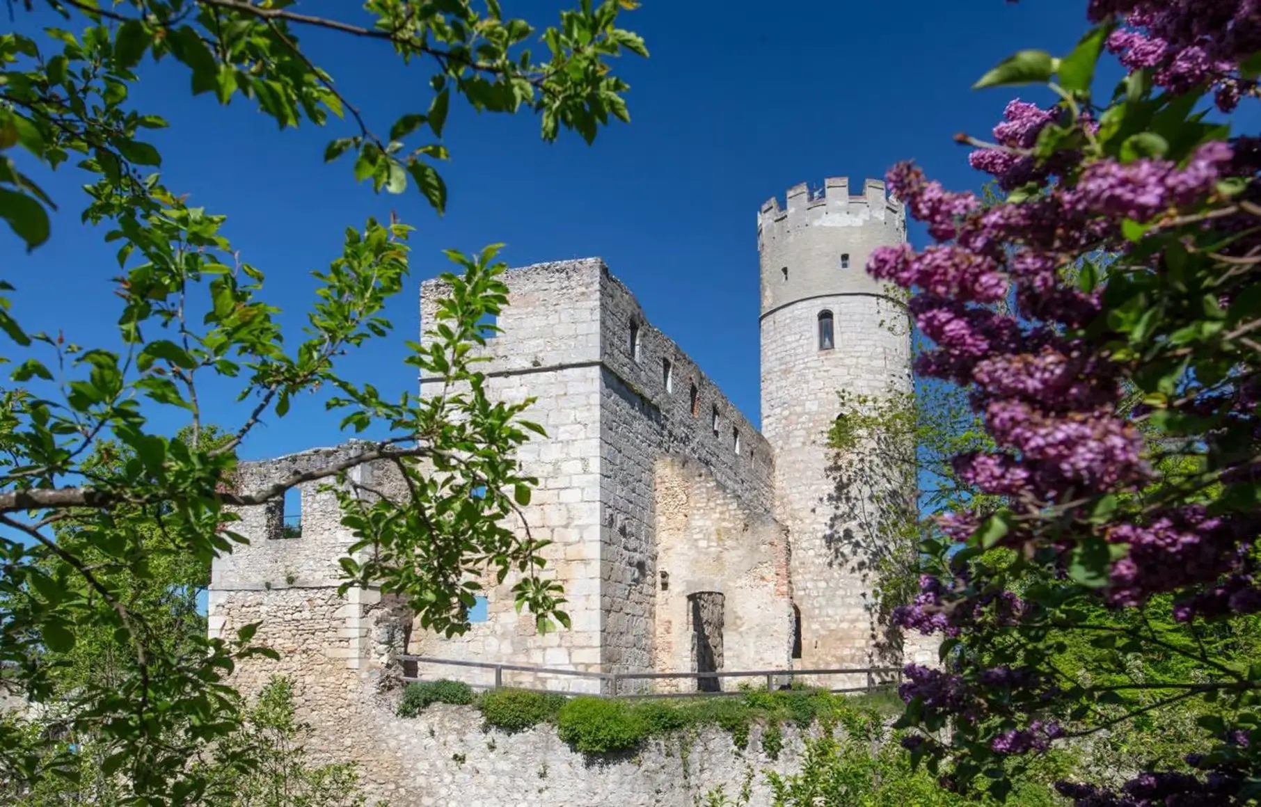 Burgen rund um Regensburg